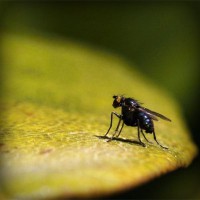 /album/letyblog/photolia-a07-jpg/